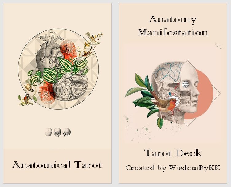Anatomical Tarot Cards