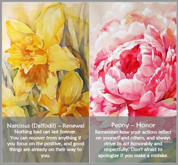 Flower Oracle cards