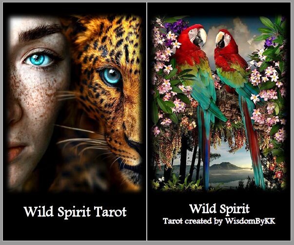 Wild Spirit Tarot Deck